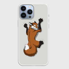 Чехол для iPhone 13 Pro Max с принтом Лис Вцепился в Курске,  |  | cute | fox | foxes | ginger | tail | вцепился | забавная | капаркается | лис | лиса | лисица | лисицы | лисичка | лисички | лисы | милая | рыжая | рыжие | смешная | фыр | хвост | хвосты