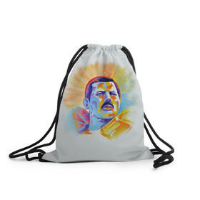 Рюкзак-мешок 3D с принтом Freddie Mercury в Курске, 100% полиэстер | плотность ткани — 200 г/м2, размер — 35 х 45 см; лямки — толстые шнурки, застежка на шнуровке, без карманов и подкладки | freddie mercury | queen | фредди меркьюри