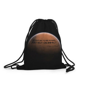 Рюкзак-мешок 3D с принтом Elon Reeve Musk в Курске, 100% полиэстер | плотность ткани — 200 г/м2, размер — 35 х 45 см; лямки — толстые шнурки, застежка на шнуровке, без карманов и подкладки | 