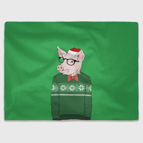 Плед 3D с принтом New Year Hipster Pig в Курске, 100% полиэстер | закругленные углы, все края обработаны. Ткань не мнется и не растягивается | 2019 | merry christmas | new year | год свиньи | зима | новый год | поросенок | праздник | рождество | свинка | свинья