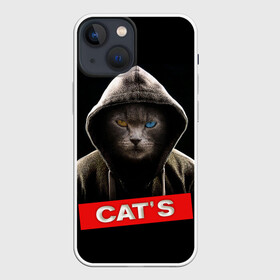 Чехол для iPhone 13 mini с принтом Кот в Курске,  |  | cat | глаза | животные | капюшон | кот | котенок | кошка | природа | хулиган