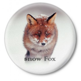 Значок с принтом Снежный лис в Курске,  металл | круглая форма, металлическая застежка в виде булавки | голова | животные | лис | лиса | мордочка | природа | рыжая | снежный