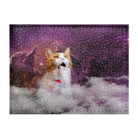 Обложка для студенческого билета с принтом Кот Водопад в Курске, натуральная кожа | Размер: 11*8 см; Печать на всей внешней стороне | cat | meme | party | вечеринка | взрыв | вода | водопад | комос | коты | кошак | кошка | мем