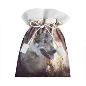 Подарочный 3D мешок с принтом Волк в Курске, 100% полиэстер | Размер: 29*39 см | dog | взгляд | волк | лайка | собака | хаски