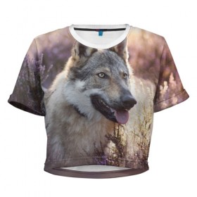 Женская футболка Cropp-top с принтом Волк в Курске, 100% полиэстер | круглая горловина, длина футболки до линии талии, рукава с отворотами | dog | взгляд | волк | лайка | собака | хаски