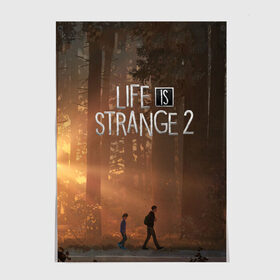 Постер с принтом Life is Strange 2 в Курске, 100% бумага
 | бумага, плотность 150 мг. Матовая, но за счет высокого коэффициента гладкости имеет небольшой блеск и дает на свету блики, но в отличии от глянцевой бумаги не покрыта лаком | adventure | life | life is strange | road | video game | дороги | жизнь | закат | квест | лес | приключения