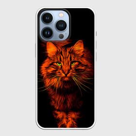 Чехол для iPhone 13 Pro с принтом Рыжий кот в Курске,  |  | cat | кот | котик | кошка | рыжая | рыжий