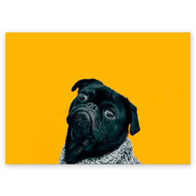 Поздравительная открытка с принтом Бульдожка в Курске, 100% бумага | плотность бумаги 280 г/м2, матовая, на обратной стороне линовка и место для марки
 | Тематика изображения на принте: бульдог | паг | пес | собака | черный