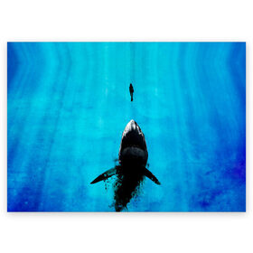 Поздравительная открытка с принтом Акула на охоте в Курске, 100% бумага | плотность бумаги 280 г/м2, матовая, на обратной стороне линовка и место для марки
 | Тематика изображения на принте: акула | женщина | море | охота | рыба | хищник