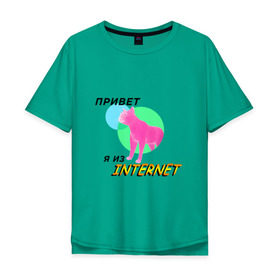 Мужская футболка хлопок Oversize с принтом Привет я из internet в Курске, 100% хлопок | свободный крой, круглый ворот, “спинка” длиннее передней части | internet | интернет | кот | мем | мемы про котов | надпись | прикол