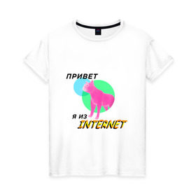 Женская футболка хлопок с принтом Привет я из internet в Курске, 100% хлопок | прямой крой, круглый вырез горловины, длина до линии бедер, слегка спущенное плечо | internet | интернет | кот | мем | мемы про котов | надпись | прикол