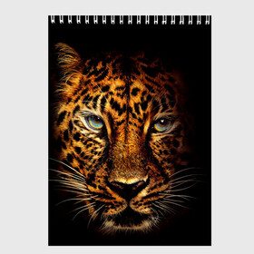 Скетчбук с принтом Ягуар в Курске, 100% бумага
 | 48 листов, плотность листов — 100 г/м2, плотность картонной обложки — 250 г/м2. Листы скреплены сверху удобной пружинной спиралью | Тематика изображения на принте: гепард | кошка | леопард | охотник | тигр | хищник | ягуар