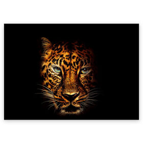 Поздравительная открытка с принтом Ягуар в Курске, 100% бумага | плотность бумаги 280 г/м2, матовая, на обратной стороне линовка и место для марки
 | Тематика изображения на принте: гепард | кошка | леопард | охотник | тигр | хищник | ягуар