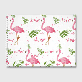 Альбом для рисования с принтом Lil Peep pink flamingo в Курске, 100% бумага
 | матовая бумага, плотность 200 мг. | benz truck | girls. pink | gustav hr | hip hop | lil | lil peep | peep | rap | лил | лилпип | листья | пальма | пальмы | пип | розовый | рэп | фламинго | хип хоп | эмо | эмо реп