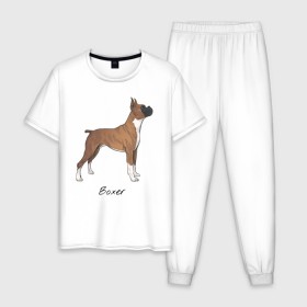 Мужская пижама хлопок с принтом Немецкий Боксер в Курске, 100% хлопок | брюки и футболка прямого кроя, без карманов, на брюках мягкая резинка на поясе и по низу штанин
 | Тематика изображения на принте: boxer | dog | боксёр | собака | собака боксер | собаки