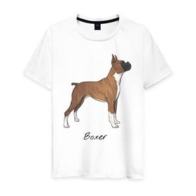 Мужская футболка хлопок с принтом Немецкий Боксер в Курске, 100% хлопок | прямой крой, круглый вырез горловины, длина до линии бедер, слегка спущенное плечо. | boxer | dog | боксёр | собака | собака боксер | собаки