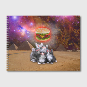 Альбом для рисования с принтом Египетские Коты в Курске, 100% бумага
 | матовая бумага, плотность 200 мг. | Тематика изображения на принте: cat | cosmos | egypt | fast | fastfood | food | meme | party | space | вечеринка | египет | еда | иллюминаты | космос | кошак | кошка | масоны | мем | песок | пирамиды | пицца | пустыня | фастфуд