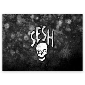 Поздравительная открытка с принтом SESH Team (Bones) в Курске, 100% бумага | плотность бумаги 280 г/м2, матовая, на обратной стороне линовка и место для марки
 | bones | boy | dead | deadboy | elmo | hdmi | hip | hop | kennedy | metal | rap | rapper | scream | sesh | seshollowaterboyz | skull | team | кеннеди | кости | костя | метал | рэп | рэпер | сеш | скрим | сэш | хип | хоп | череп | элмо