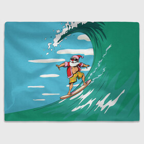 Плед 3D с принтом Cool Santa в Курске, 100% полиэстер | закругленные углы, все края обработаны. Ткань не мнется и не растягивается | Тематика изображения на принте: cool | creative | design | holiday | merry christmas | new year | sea | summer | surfing | wave | волна | дизайн | канары | креатив | круто | лето | море | новый год | рождество | сёрфинг