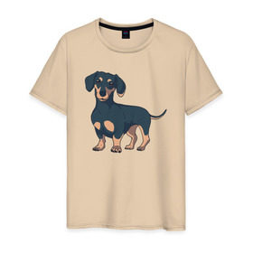 Мужская футболка хлопок с принтом Такса в Курске, 100% хлопок | прямой крой, круглый вырез горловины, длина до линии бедер, слегка спущенное плечо. | Тематика изображения на принте: dachshund | собака | собаки | такса | таксы