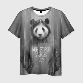 Мужская футболка 3D с принтом Панда в Курске, 100% полиэфир | прямой крой, круглый вырез горловины, длина до линии бедер | Тематика изображения на принте: дождь | животные | капюшон | кофта | медведь | мишка | панда | природа | хипстер