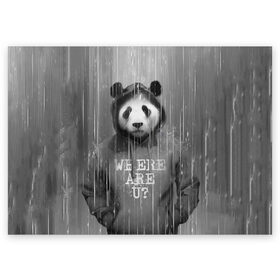 Поздравительная открытка с принтом Панда в Курске, 100% бумага | плотность бумаги 280 г/м2, матовая, на обратной стороне линовка и место для марки
 | дождь | животные | капюшон | кофта | медведь | мишка | панда | природа | хипстер