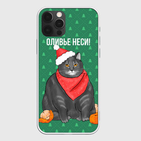 Чехол для iPhone 12 Pro Max с принтом Кот хочет кушот в Курске, Силикон |  | кот | кушот | новый год | оливье | толстый кот