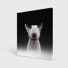 Холст квадратный с принтом Oh snap! в Курске, 100% ПВХ |  | Тематика изображения на принте: bull terrier | dog |   | бультерьер | собака