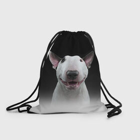 Рюкзак-мешок 3D с принтом Oh snap! в Курске, 100% полиэстер | плотность ткани — 200 г/м2, размер — 35 х 45 см; лямки — толстые шнурки, застежка на шнуровке, без карманов и подкладки | bull terrier | dog |   | бультерьер | собака