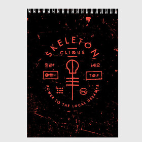Скетчбук с принтом TOP - Skeleton Clique в Курске, 100% бумага
 | 48 листов, плотность листов — 100 г/м2, плотность картонной обложки — 250 г/м2. Листы скреплены сверху удобной пружинной спиралью | band | best | blurry | face | indie | logo | music | one | pilots | pop | regional | rock | symbol | top | trench | twenty | vessel | группа | инди | лого | логотип | музыка | пилоты | поп | рок | символ | топ | тренч