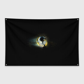 Флаг-баннер с принтом Еж в кольце в Курске, 100% полиэстер | размер 67 х 109 см, плотность ткани — 95 г/м2; по краям флага есть четыре люверса для крепления | sonic | sonik | игры | соник | фильм соник
