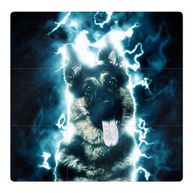 Магнитный плакат 3Х3 с принтом Немецкая овчарка в Курске, Полимерный материал с магнитным слоем | 9 деталей размером 9*9 см | немецкая овчарка | овчарка | собака