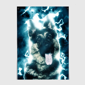 Постер с принтом Немецкая овчарка в Курске, 100% бумага
 | бумага, плотность 150 мг. Матовая, но за счет высокого коэффициента гладкости имеет небольшой блеск и дает на свету блики, но в отличии от глянцевой бумаги не покрыта лаком | немецкая овчарка | овчарка | собака