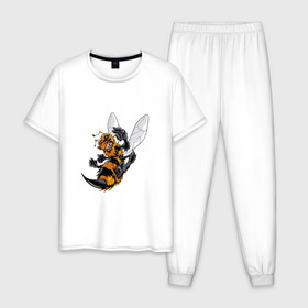 Мужская пижама хлопок с принтом Злая оса в Курске, 100% хлопок | брюки и футболка прямого кроя, без карманов, на брюках мягкая резинка на поясе и по низу штанин
 | арт | жалит | жало | злая | насекомое | оса | полосатая | пчела
