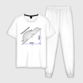 Мужская пижама хлопок с принтом Гиппопотинуза в Курске, 100% хлопок | брюки и футболка прямого кроя, без карманов, на брюках мягкая резинка на поясе и по низу штанин
 | гиппопотам. гипотенуза. катет | теорема | треугольник | угол. геометрия. математика. школа