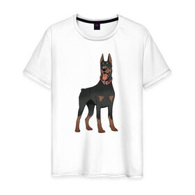 Мужская футболка хлопок с принтом Доберман в Курске, 100% хлопок | прямой крой, круглый вырез горловины, длина до линии бедер, слегка спущенное плечо. | doberman | dobermann | dog | доберман | собака | собаки