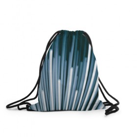 Рюкзак-мешок 3D с принтом Lights Lines в Курске, 100% полиэстер | плотность ткани — 200 г/м2, размер — 35 х 45 см; лямки — толстые шнурки, застежка на шнуровке, без карманов и подкладки | abstraction | art | blue | lights | lines | white | абстракция | арт | белый | линии | свет | синий