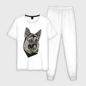 Мужская пижама хлопок с принтом Немецкая овчарка в Курске, 100% хлопок | брюки и футболка прямого кроя, без карманов, на брюках мягкая резинка на поясе и по низу штанин
 | dog | немец | овчарка | собака | собаки