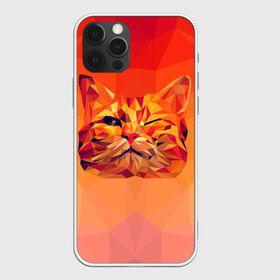 Чехол для iPhone 12 Pro Max с принтом Подмигивающий кот (Low Poly) в Курске, Силикон |  | cat | fox | kitty | low | lowpoly | poly | веселая | геометрия | грозовой кошак | желтая | кот | котейка | котофей | кошак | лиса | любителям кошек | низкополигональный | позитив | прикольная | рисунок | рыжая | узор