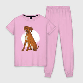 Женская пижама хлопок с принтом Родезийский риджбек в Курске, 100% хлопок | брюки и футболка прямого кроя, без карманов, на брюках мягкая резинка на поясе и по низу штанин | rhodesian ridgeback | ridgeback | риджбек | собака | собаки
