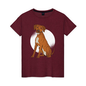 Женская футболка хлопок с принтом Родезийский риджбек в Курске, 100% хлопок | прямой крой, круглый вырез горловины, длина до линии бедер, слегка спущенное плечо | rhodesian ridgeback | ridgeback | риджбек | собака | собаки