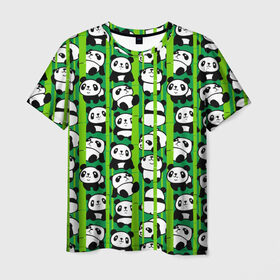 Мужская футболка 3D с принтом Медведи панда в Курске, 100% полиэфир | прямой крой, круглый вырез горловины, длина до линии бедер | animals | bamboo | bears | branches | funny | panda | trees | аниме | бамбук | весёлые | ветки | графика | деревья | животные | зелёный | искусство | картинка | красивый | крутой | малыши | медведи | мода | модный | молодёжная