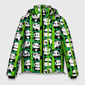Мужская зимняя куртка 3D с принтом Медведи панда в Курске, верх — 100% полиэстер; подкладка — 100% полиэстер; утеплитель — 100% полиэстер | длина ниже бедра, свободный силуэт Оверсайз. Есть воротник-стойка, отстегивающийся капюшон и ветрозащитная планка. 

Боковые карманы с листочкой на кнопках и внутренний карман на молнии. | Тематика изображения на принте: animals | bamboo | bears | branches | funny | panda | trees | аниме | бамбук | весёлые | ветки | графика | деревья | животные | зелёный | искусство | картинка | красивый | крутой | малыши | медведи | мода | модный | молодёжная