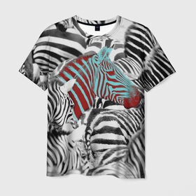 Мужская футболка 3D с принтом Зебры в Курске, 100% полиэфир | прямой крой, круглый вырез горловины, длина до линии бедер | big | арт | крупные арты | крупные принты | сумасшедшие арты
