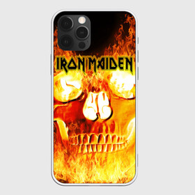 Чехол для iPhone 12 Pro Max с принтом Iron Maiden в Курске, Силикон |  | Тематика изображения на принте: бас | британия | брюс дикинсон | гитара | группа | дева | железная | метал | нико макбрэйн | рок | стив харрис | хеви | яник герс