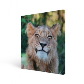 Холст квадратный с принтом Улыбка львицы в Курске, 100% ПВХ |  | голова | животные | кот | кошка | лев | лицо | львица | прикол | прикольные | природа | смешные | тигр | тигрица | улыбается | улыбка | юмор