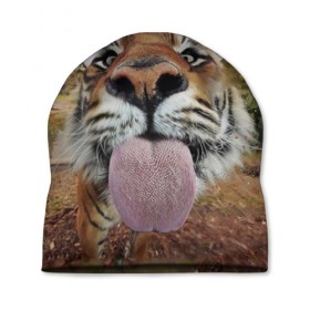 Шапка 3D с принтом Тигр показывает язык в Курске, 100% полиэстер | универсальный размер, печать по всей поверхности изделия | голова | животные | кот | кошка | лев | лицо | прикол | прикольные | природа | смешные 
 животные | тигр | тигрица | юмор | язык