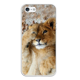 Чехол для iPhone 5/5S матовый с принтом Львенок в Курске, Силикон | Область печати: задняя сторона чехла, без боковых панелей | дикая кошка | животные | кот | кошка | лев | львенок | львица | мордочка | природа | тигр | хищник