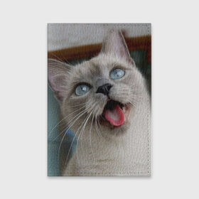 Обложка для паспорта матовая кожа с принтом Сиамский котенок в Курске, натуральная матовая кожа | размер 19,3 х 13,7 см; прозрачные пластиковые крепления | Тематика изображения на принте: животные | кот | котенок | котик | кошечка | кошка | милый | мордочка | показывает язык | прикол | серый | сиамская | сиамская кошка | сиамский котенок | юмор | язык