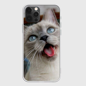 Чехол для iPhone 12 Pro Max с принтом Сиамский котенок в Курске, Силикон |  | животные | кот | котенок | котик | кошечка | кошка | милый | мордочка | показывает язык | прикол | серый | сиамская | сиамская кошка | сиамский котенок | юмор | язык